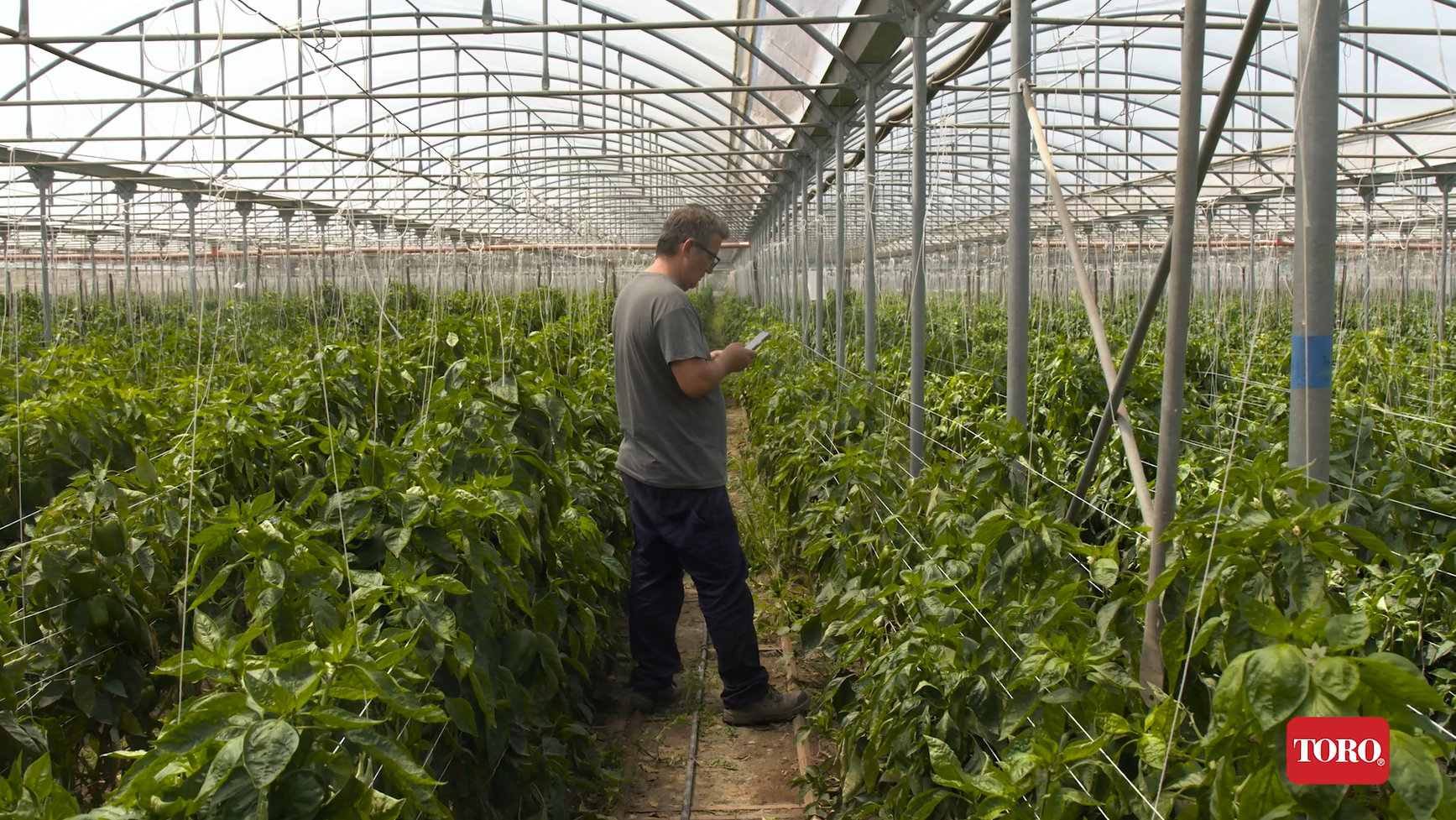 Toro Tempus Air|Img1|Toro Tempus Air